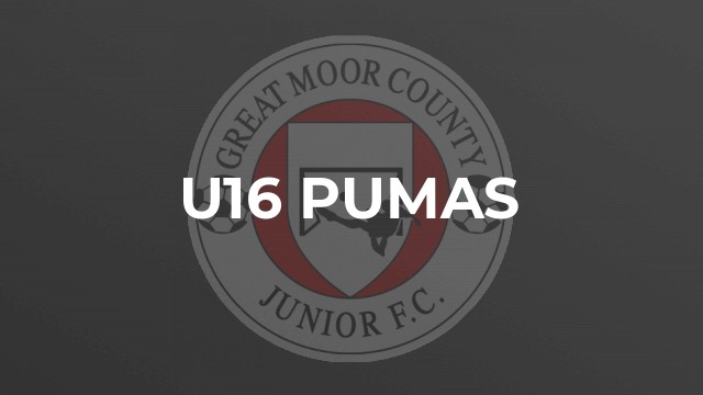 U16 Pumas