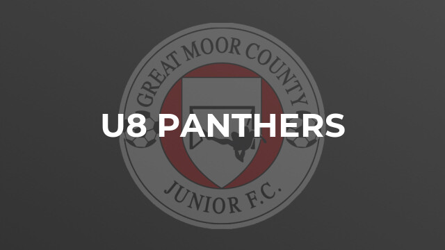 U8 Panthers