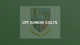 U17 Junior Colts