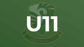 U11