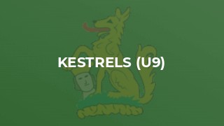 Kestrels (U9)