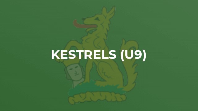Kestrels (U9)