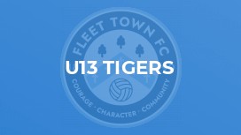 U13 Tigers