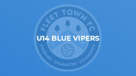 U14 Blue Vipers