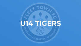 U14 Tigers