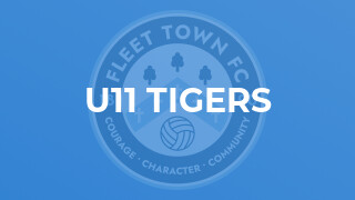 U11 Tigers