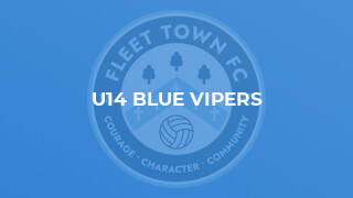 U14 Blue Vipers