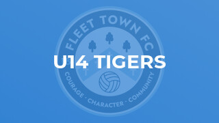 U14 Tigers