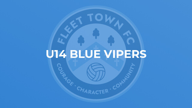 U14 Blue Vipers