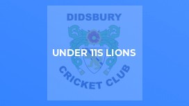 Under 11s Lions