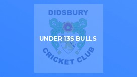 Under 13s Bulls