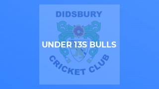 Under 13s Bulls