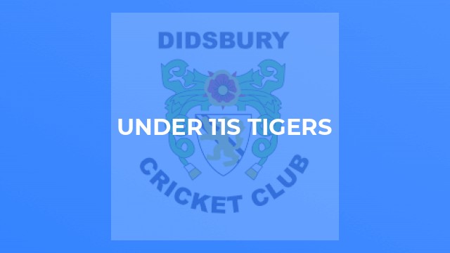 Under 11s Tigers