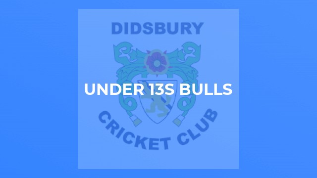 Under 13s Bulls