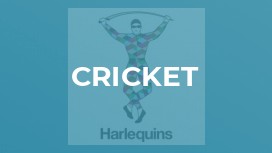 Cricket