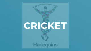 Cricket