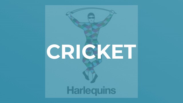 Cricket