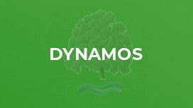 Dynamos