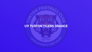 U11 Turton Tigers Orange