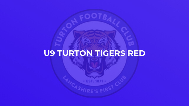 U9 Turton Tigers Red