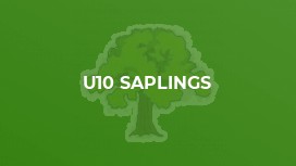 U10 Saplings