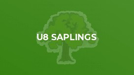 U8 Saplings