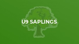 U9 Saplings