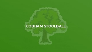 Cobham Stoolball