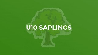 U10 Saplings