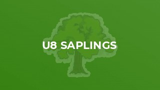 U8 Saplings