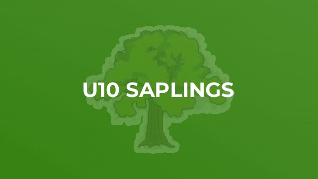 U10 Saplings