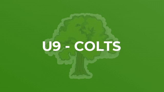 U9 - Colts