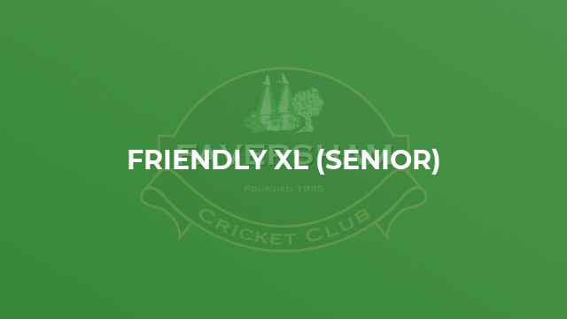 Friendly Xl (Senior)