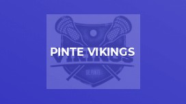 Pinte Vikings