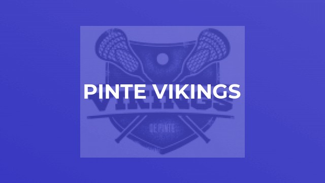 Pinte Vikings
