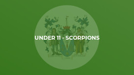 Under 11 - Scorpions