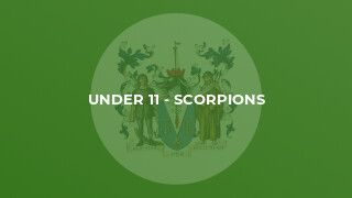 Under 11 - Scorpions