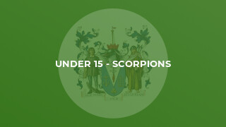 Under 15 - Scorpions