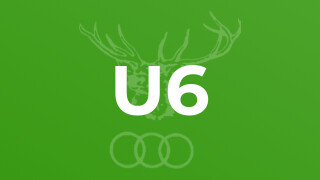 U6
