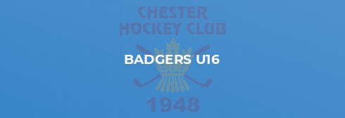 Chester Badgers vs Brooklands MU Badgers
