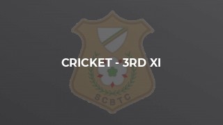 Cricket - 3rd XI