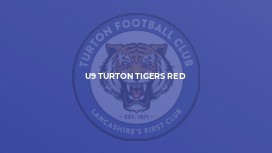 U9 Turton Tigers Red