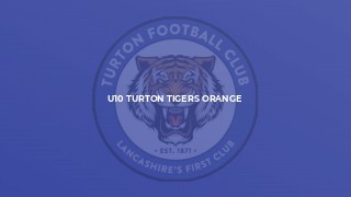 U10 Turton Tigers Orange