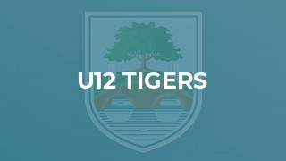 U12 Tigers
