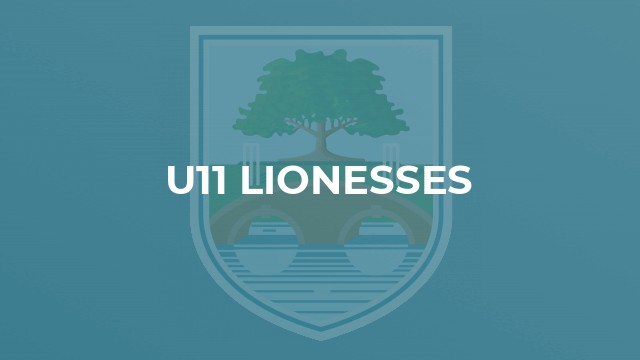U11 Lionesses