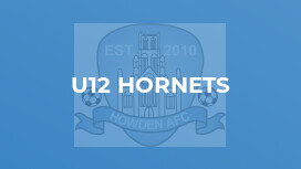 U12 Hornets