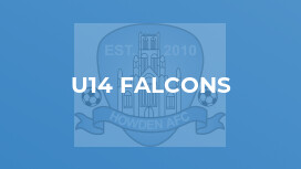 U14 Falcons