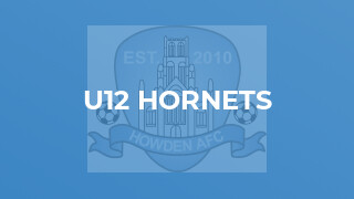 U12 Hornets