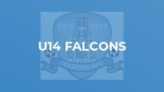 U14 Falcons