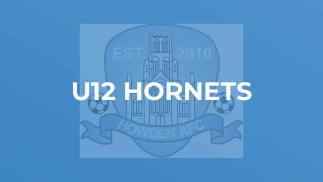 U12 Hornets